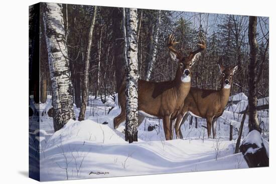 Zone 1 Whitetail-Bruce Miller-Premier Image Canvas