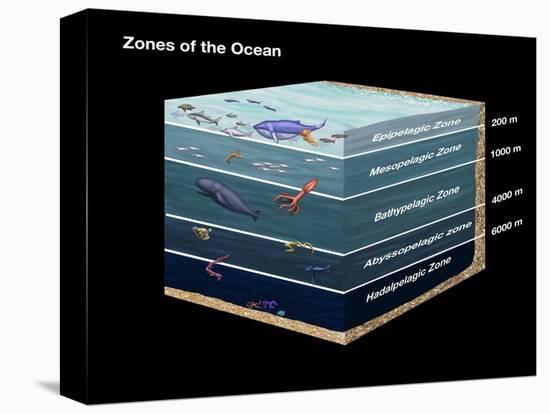 Zones of the Ocean-Spencer Sutton-Premier Image Canvas