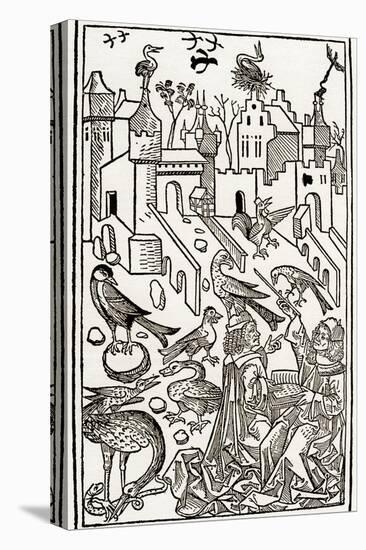 Zoology Lesson: Birds, 1491 (Wood Engraving)-Unknown Artist-Premier Image Canvas