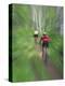 Zoom Effect of Mountain Bike Racers on Trail in Aspen Forest, Methow Valley, Washington, USA-Steve Satushek-Premier Image Canvas
