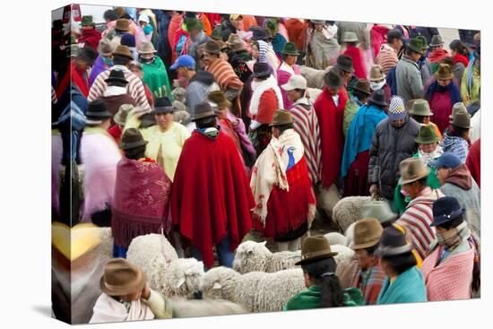 Zumbahua Animal Market, Zumbahua, Near Latacunga, Ecuador-Peter Adams-Premier Image Canvas