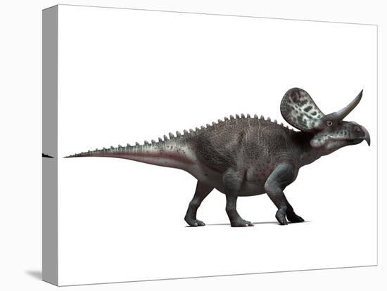 Zuniceratops Dinosaur, Artwork-SCIEPRO-Premier Image Canvas