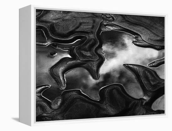 0-MW-1 Abstract (Reflection), 1973 (gelatin silver print)-Brett Weston-Framed Premier Image Canvas