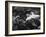 0-MW-1 Abstract (Reflection), 1973 (gelatin silver print)-Brett Weston-Framed Photographic Print