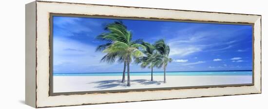 0108 Wish You were Here-Doug Cavanah-Framed Premier Image Canvas