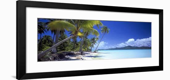 0130 Tropical Paradise-Doug Cavanah-Framed Giclee Print
