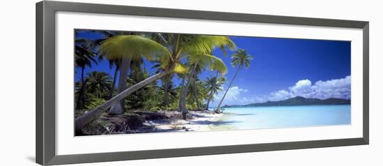 0130 Tropical Paradise-Doug Cavanah-Framed Giclee Print