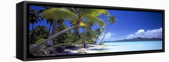 0130 Tropical Paradise-Doug Cavanah-Framed Premier Image Canvas