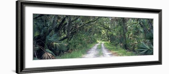 0248 Going Home-Doug Cavanah-Framed Giclee Print