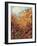 025-Bill Bell-Framed Giclee Print