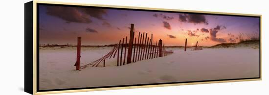 0291 Magic Moment-Doug Cavanah-Framed Premier Image Canvas