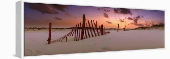 0291 Magic Moment-Doug Cavanah-Framed Premier Image Canvas