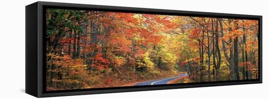 0299 October Road-Doug Cavanah-Framed Premier Image Canvas