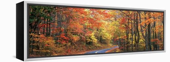 0299 October Road-Doug Cavanah-Framed Premier Image Canvas