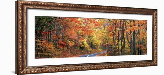 0299 October Road-Doug Cavanah-Framed Giclee Print