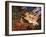 029-Bill Bell-Framed Giclee Print