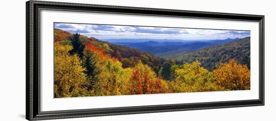 0357-Doug Cavanah-Framed Giclee Print