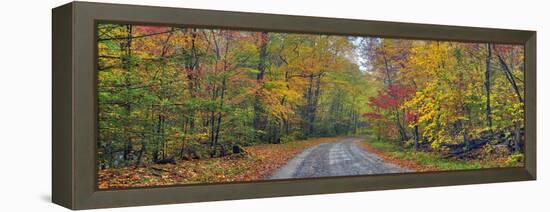 0627 Autumn Road-Doug Cavanah-Framed Premier Image Canvas