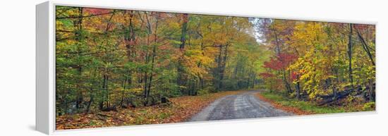 0627 Autumn Road-Doug Cavanah-Framed Premier Image Canvas