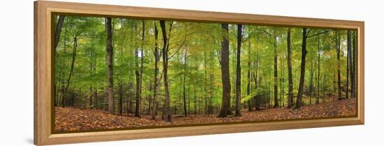 0629-Doug Cavanah-Framed Premier Image Canvas