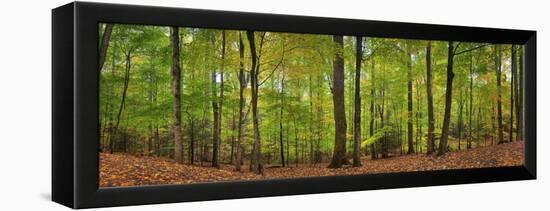 0629-Doug Cavanah-Framed Premier Image Canvas