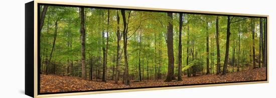 0629-Doug Cavanah-Framed Premier Image Canvas