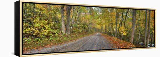 0635 Urban Bypass-Doug Cavanah-Framed Premier Image Canvas