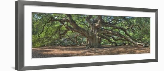 0664-Doug Cavanah-Framed Giclee Print