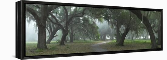 0698-Doug Cavanah-Framed Premier Image Canvas