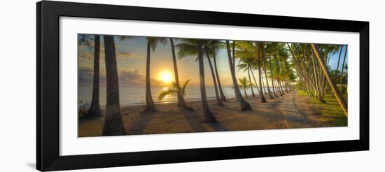 0772 Palm Cove-Doug Cavanah-Framed Giclee Print