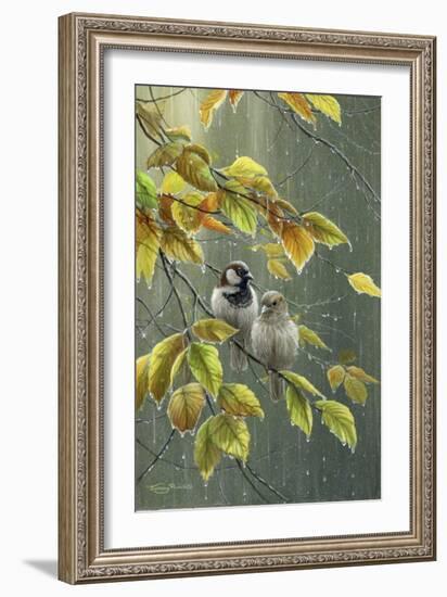 0851 Sparrows In Rain-Jeremy Paul-Framed Giclee Print