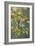 0851 Sparrows In Rain-Jeremy Paul-Framed Giclee Print