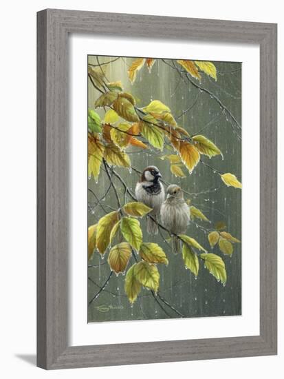 0851 Sparrows In Rain-Jeremy Paul-Framed Giclee Print