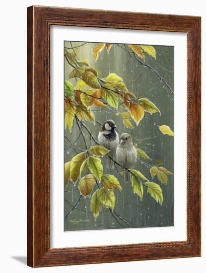 0851 Sparrows In Rain-Jeremy Paul-Framed Giclee Print