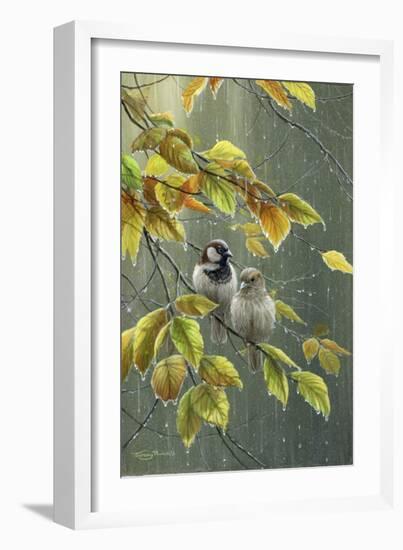 0851 Sparrows In Rain-Jeremy Paul-Framed Giclee Print