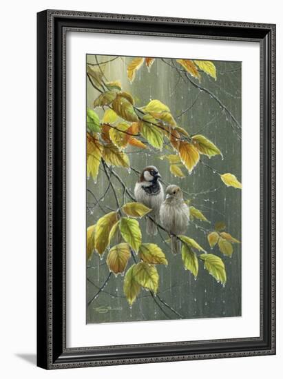 0851 Sparrows In Rain-Jeremy Paul-Framed Giclee Print