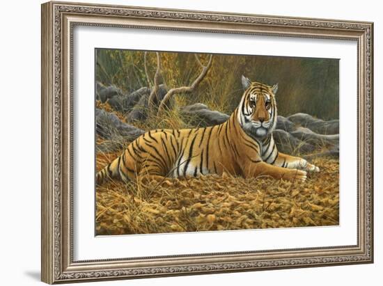0868 Bengal Tiger-Jeremy Paul-Framed Giclee Print