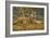 0868 Bengal Tiger-Jeremy Paul-Framed Giclee Print