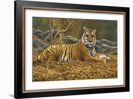 0868 Bengal Tiger-Jeremy Paul-Framed Giclee Print