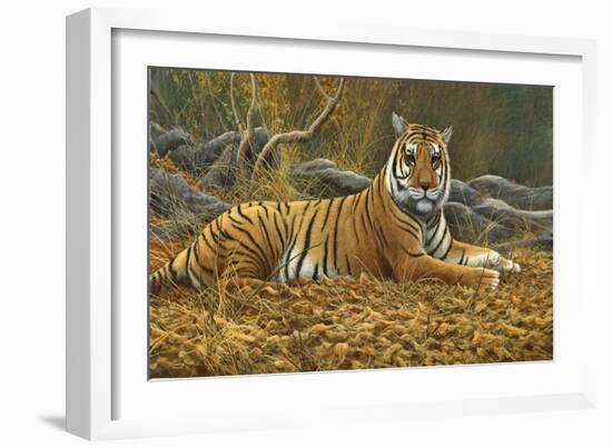 0868 Bengal Tiger-Jeremy Paul-Framed Giclee Print