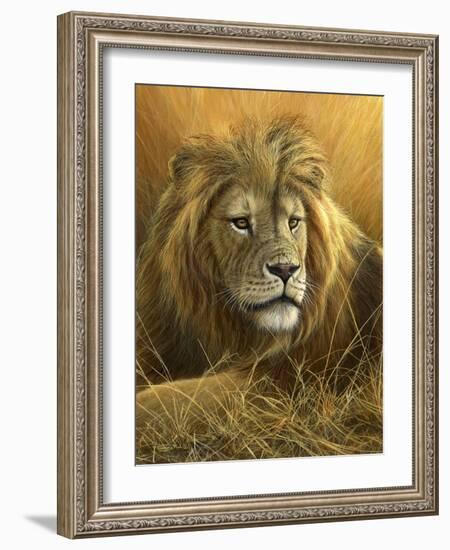 0908 Evening Glow  Lion-Jeremy Paul-Framed Giclee Print