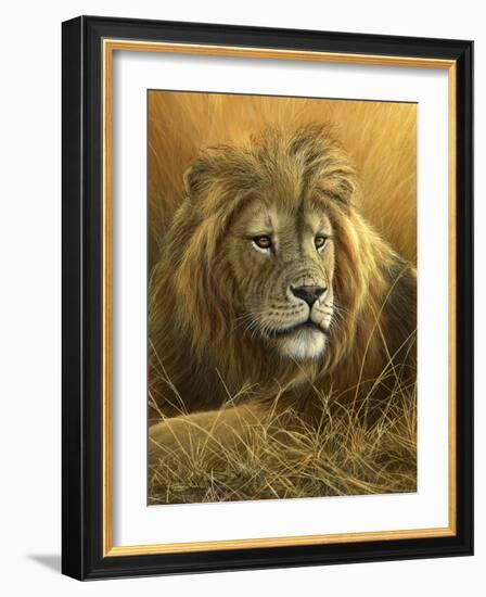 0908 Evening Glow  Lion-Jeremy Paul-Framed Giclee Print