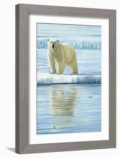 0944 Curious Bear Photo-Jeremy Paul-Framed Giclee Print