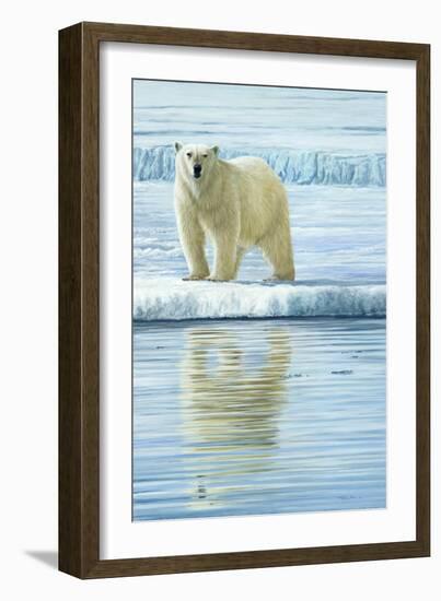 0944 Curious Bear Photo-Jeremy Paul-Framed Giclee Print
