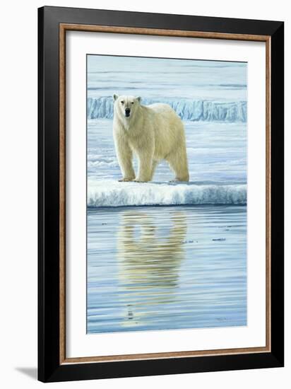 0944 Curious Bear Photo-Jeremy Paul-Framed Giclee Print