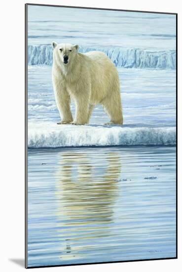 0944 Curious Bear Photo-Jeremy Paul-Mounted Giclee Print