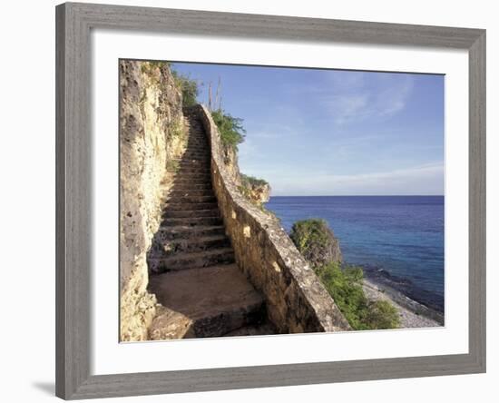 1,000 Steps Limestone Stairway in Cliff, Bonaire, Caribbean-Greg Johnston-Framed Photographic Print