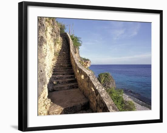 1,000 Steps Limestone Stairway in Cliff, Bonaire, Caribbean-Greg Johnston-Framed Photographic Print