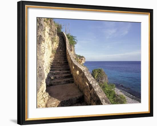 1,000 Steps Limestone Stairway in Cliff, Bonaire, Caribbean-Greg Johnston-Framed Photographic Print