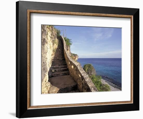 1,000 Steps Limestone Stairway in Cliff, Bonaire, Caribbean-Greg Johnston-Framed Photographic Print